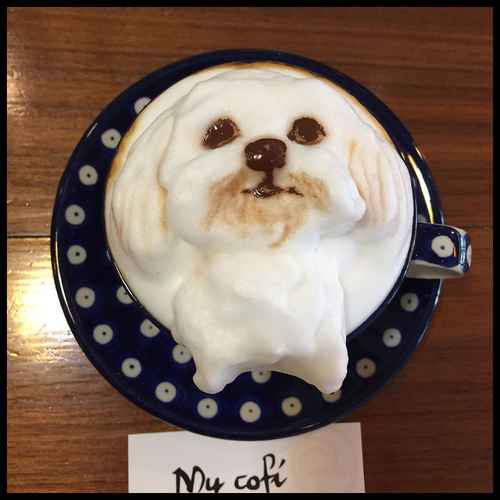 cute 3D latte art dogs (1)