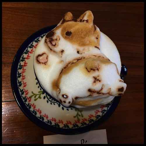 cute 3D latte art dogs (10)