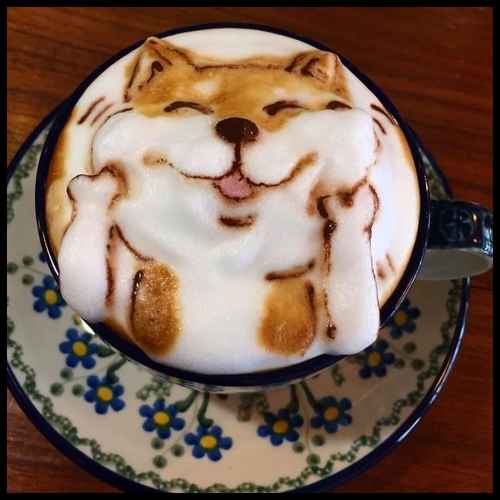 cute 3D latte art dogs (9)