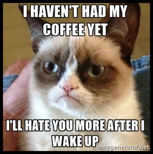Grumpy-Cat-coffee-meme