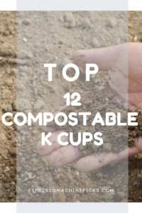Best Compostable K Cups