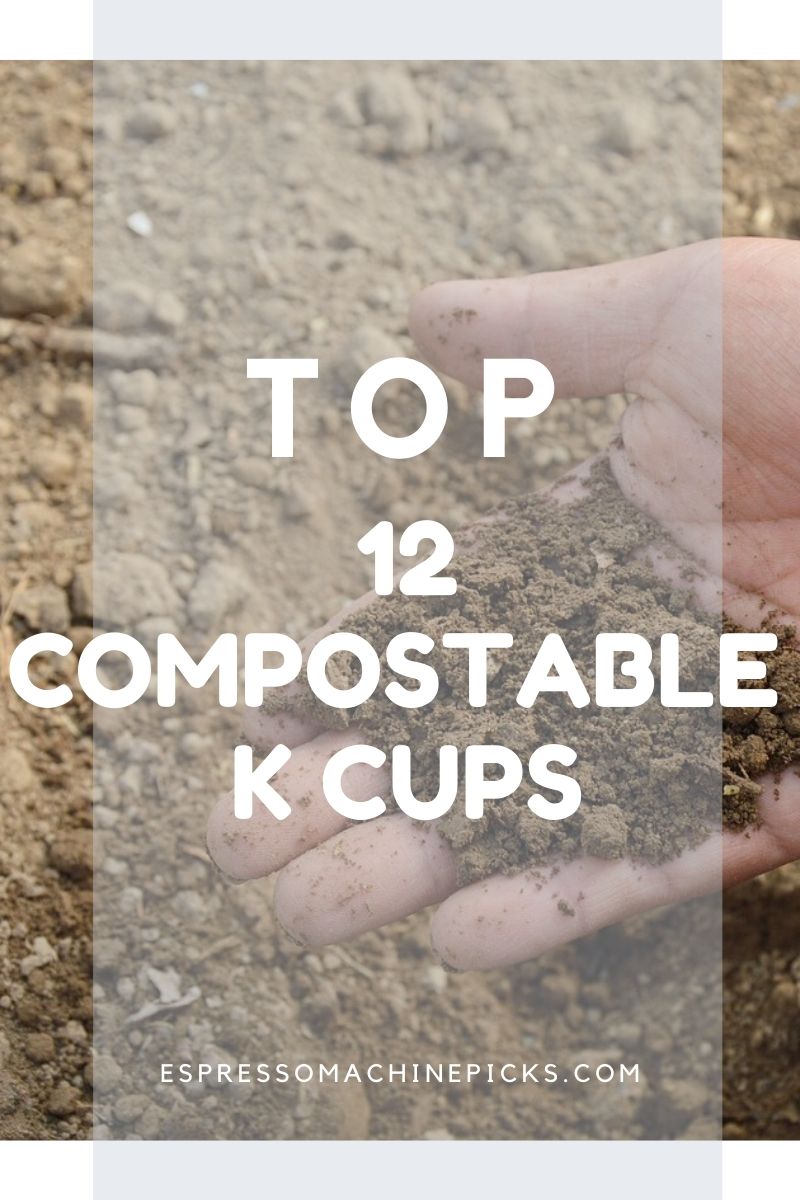 The 12 Best Compostable K Cups The Flavours That We Loved!